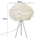 Axyaa Nordic Feather LED Desk Lamp: Modern & Minimalist Lighting Fixture
