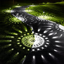 Axyaa Solar Pathway Lights 10 Pack - Super Bright LED Landscape Lighting
