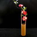 Axya Seafood Pose Bamboo Tube Sushi Sashimi Swing Plate