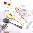 Axyaa 16-Piece Stainless Steel Cutlery Set - Silverware Spoon Knife Fork Tableware