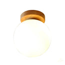 Axya Glass Ball LED Ceiling Lamp Home Lighting Fixture
