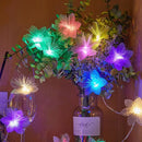 Axyaa Flower Fairy Lights Garland: Battery-Operated, Twinkle String Light for Wedding, Christmas