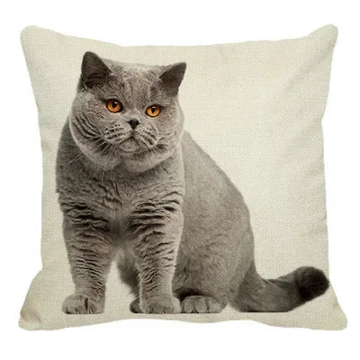 Axyaa British Shorthair Cat Pillow Cover 45X45cm Square Cushion