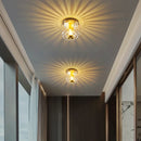 Axyaa LED Chandelier Ceiling Lamp Indoor Glass Wall Sconce Decoration for Living Room