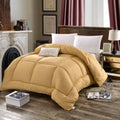 Axyaa Winter Warmth Quilt | All-Season Solid Color | Thick & Cozy