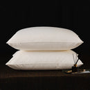 Axyaa Goose Feather Down Pillows - 2 Pack, 100% Cotton, Standard Queen King Sizes