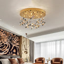 Axyaa Nordic Smart LED Ceiling Light for Home Decor - Dimmable Indoor Lighting