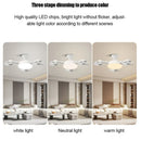 Ceiling Fan Light Electric with High Wind Power, Silent Operation for Kitchen, Restaurant Decor - Axyaa