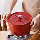 Axyaa Enamel Cast Iron Soup Pot with Lid - 9.5 Inch Stew Pan for Gas and Induction Cookers