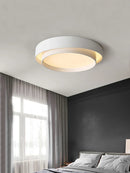 Axyaa Modern Ceiling Lamp for Living Room Lighting