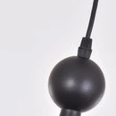 Axyaa Glass Ball Chandelier LED Single Head Wall Lamp