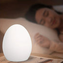Axya Silicone Night Light LED Egg Lamp