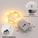 Axyaa LED Fairy Lights String for Christmas, Wedding, Bedroom, Garden Decoration