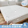 Axyaa Padded Mattress with TUP Urine-Proof Cover for Complete Protection