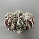 Axyaa Ceramic Bud Vase Handcrafted Petal Shape Irregular Fold Home Decor Ornament