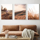 Sunset Grass Reed Art Print Landscape Canvas Wall Art Nordic Posters Axyaa