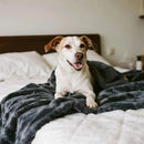 Axyaa Waterproof Reversible Sherpa Dog Blanket, Furniture Protector, Cozy Throw Blanket