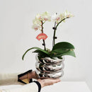 Axyaa Ceramic Green Plant Flowerpot Wind Silver Vase Desktop Decoration