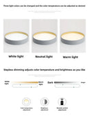 Axyaa Nordic LED Ceiling Lamp for Modern Living Room, Bedroom, Study, and Corridor