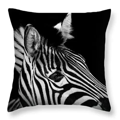 Axyaa Zebra Print Polyester Cushion Cover 45X45cm for Home Decor