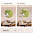 Axyaa Sandstone Vase & Green Plant Luminous Wall Painting with Wall Lamp
