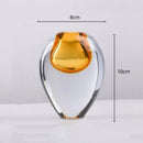 Axyaa Transparent Thick Bottom Glass Vase for Hydroponic Flower Arrangement