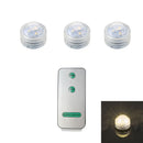Axyaa Submersible LED Light Remote Pond Waterproof Pool Lamp for Vases Fish Tanks