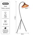 Axyaa Nordic Rattan Sofa Floor Lamp | Hand-woven Designer Light for Living Room