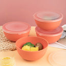 Axyaa 4pcs Bowl Set with Lid & Bento Box for Camping, Picnic, Kitchen Essentials