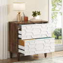 Axyaa 2-Drawer Lateral File Cabinet for Office Storage and Organization