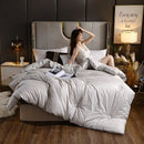 Axyaa Soybean Quilt: 4 Season Warmth, Single/Double, Thickened, Spring/Autumn/Winter