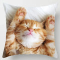 Axyaa Cute Cat Hug Pillowcase Interactive Cushion for Home Sofa Decor