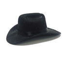 Axyaa Light Up Pet Cowboy Hat: Fun, Luminous Dog/Cat Accessory for Walks, Photos & Gifts