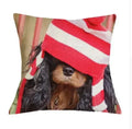 Axyaa Cavalier King Charles Spaniel Sofa Cushion Cover - Home Decor & Party Accessory