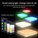 Axyaa RGB Smart Ceiling Lamp - Alexa & Google Audio Control