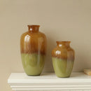 Axyaa Glass Vase: Elegant Décor for Living Room, Hotel Showroom & Home Arrangement