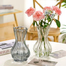 Axyaa Clear Retro Flower Vase Hydroponics Plants Pot Glass Decor Container