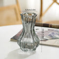 Axyaa Clear Retro Flower Vase Hydroponics Plants Pot Glass Decor Container