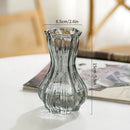 Axyaa Clear Retro Flower Vase Hydroponics Plants Pot Glass Decor Container