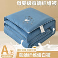 Axyaa Embossed Cotton Silk Quilt: Thick & Fluffy Four-Season Warmth
