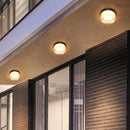 Axyaa Amber Smoke LED Ceiling Light Fixture for Modern Home Decor
