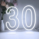Axyaa LED Neon Digital Numbers Light Sign - 15-inch High, USB Powered
