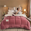 Axyaa Winter Fleece Blanket | Soft & Warm Cashmere Weighted Comforter Core
