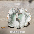 Axyaa Ceramic Artistic Vase for Flowers and Hydroponics