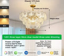 Axyaa Crystal Chandelier: Minimalist Living Room, Bedroom, and Restaurant Lighting