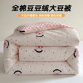 Axyaa A Soybean Fiber Doudou Quilt Core, All Seasons Single Winter Quilt