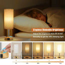 Axyaa LED Fabric Desk Lamp: USB C+A Ports, Rechargeable, Stepless Dimmable
