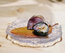 Axyaa Glass Plate for Sashimi Sushi & Western Desserts, Creative Hotel Tableware