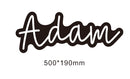 Axyaa Custom Neon Sign - Personalized LED Light for Bedroom or Party
