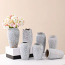 Axyaa Ceramic Vase: Stylish Hydroponic Decor for Home and Hotel Displays